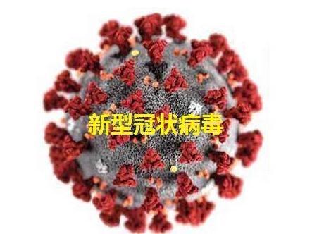 雅培大规模发放试剂盒 多款测试获紧急使用权