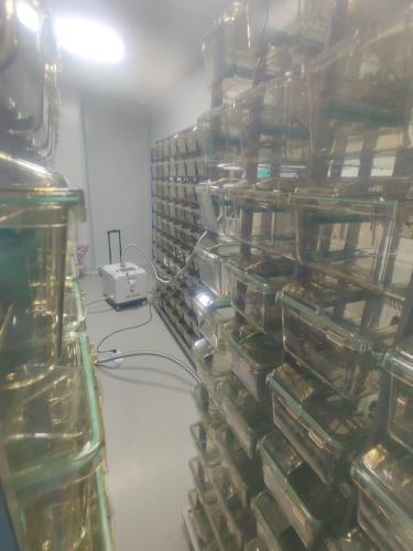 中国兽药研究所IVC鼠笼汽化过氧化氢灭菌案例介绍